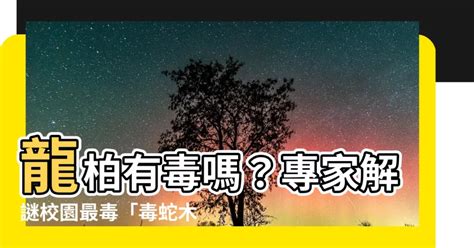 龍柏有毒嗎|校園植物龍柏有害師生健康？ 全教產籲教育部正視